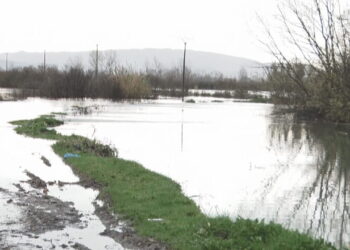 Moti i keq/ 2700 ha tokë të përmbytura në Shkodër, 155 banesa të rrethuara nga uji