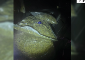 EMRAT/ Transportonin 85 kg kanabis në Fier, arrestohet në flagrancë 25-vjeçari dhe shpallet në kërkim një tjetër