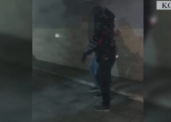 Operacioni ‘Restart’/ 58 kg kanabis në drejtim të Maqedonisë së Veriut, tre në pranga në Qafë Thanë