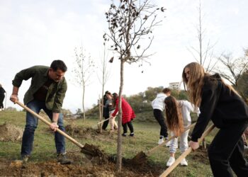 Mbillen 360 pemë në Liqenin e Prushit, Veliaj: Do e transformojmë në park lokal; i afrohemi pemës së një milionë të mbjellë në Tiranë