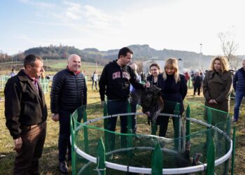 Hapet tregu i gjelave të detit në Baldushk, Veliaj: Është më i miri dhe më i shëndetshmi, blije këtu dhe ndihmo një familje të zonës