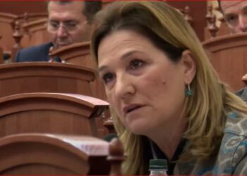 Deputetja Açka ‘shigjeton’ deputetët e PS: Seksizëm i pastër! Po flasim për verën, nuk po pimë