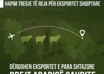 Eksportet blegtorale “Made in Albania”, Krifca: Është kryer me sukses exporti i parë i mishit të qingjave në Arabinë Saudite
