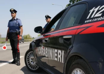 21 mijë euro investim për kultivimin e kanabisit, arrestohet shqiptari në Itali. Sekuestrohen 1200 mijë bimë narkotike