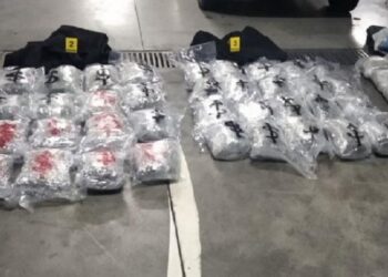 ‘Droga vinte nga Shqipëria’, arrestohen dy persona në Podgoricë, u kapën me 65 kg kanabis në makina