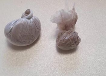 Shpërndanin doza heroine, arrestohen në flagrancë dy të rinj në Shkodër