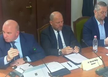 Ndryshimet në Kodin Rrugor/ Debat për parkingjet me pagesë, Gështenja: Në një rrugë 50% të jetë për parkime falas