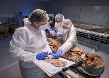 Misteret e fshehura në Notre Dame! Gjendet trupi me kafkën e sharruar brenda një arkivoli