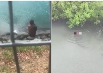 VIDEO/ Po shëtisnin me varkë, krokodili gëlltit dhe ha të gjallë djalin 1-vjeҫar, i ati plagoset rëndë