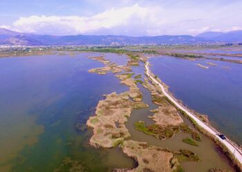 Arrestohet zyrtari në Lezhë, ishte shpallur në kërkim për dëmtimin e lagunës së Kune-Vainit