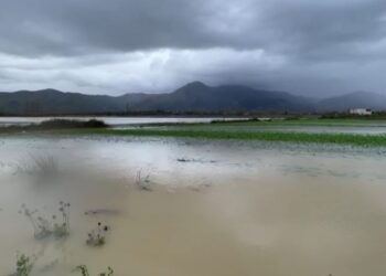 Moti i keq/ 2 350 hektarë tokë të përmbytura në Bashkinë Shkodër