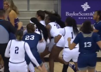 VIDEO / Shkulja e flokëve sjell sherr masiv me grushte në ndeshjen e basketbollit