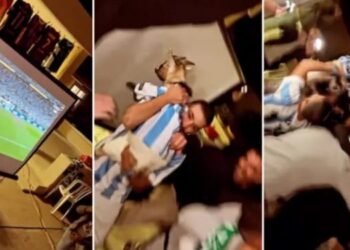 Pamje spektakolare/ Bëhet viral tifozi që mbante një dhi të veshur me fanellën e Argjentinës