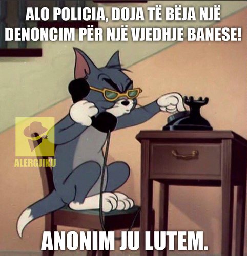 FOTO/ Në rrjet plas gallata: Në Gjirin e Lalzit, politikanët dhe zyrtarët nisin t’i pastrojnë vetë shtëpitë