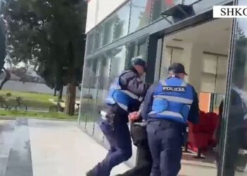 Me 2 armë zjarri, municion luftarak dhe 2 radio si të Policisë, vihet në pranga 24-vjeçari në Shkodër