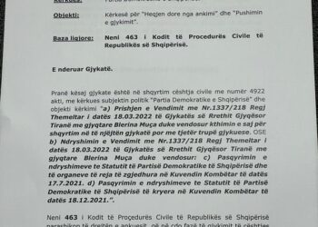Grupi i Alibeajt kërkesë Gjykatës: Apeli të përshpejtojë gjykimin të vendimit të Zhukrit për vulën e PD