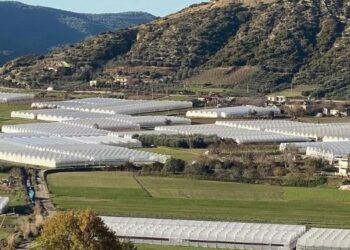 Bujqësia, prodhimi dhe eksportet në rritje deri 10%, blegtoria në vështirësi