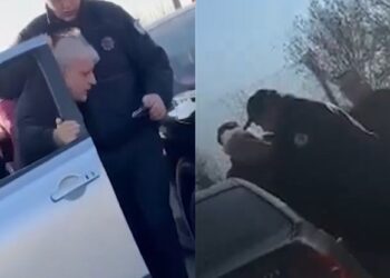 VIDEO/ Policia malazeze dhunon ish-këshilltarin i Metës, nxirret zvarrë nga makina. S’kursehet as i biri i sekretarit të PL