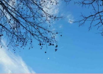 Java e parë e vitit nis me temperatura të ngrohta, parashikimi i motit për sot