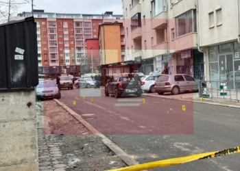 Ngjarja e rëndë/ Plagosen me armë zjarri nënë e bijë, policia zbardh detajet