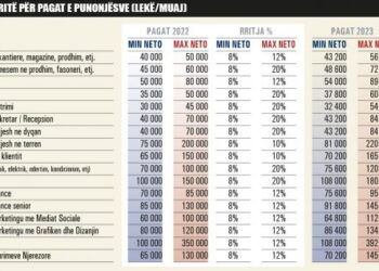 Rritja e pagave/ Profesionet që pritet të kërkohen dhe paguhen më shumë në 2023