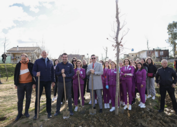 Veliaj mbjell pemë me përfaqësues të bizneseve: Kur të gjithë jemi bashkë, bëjmë punë të mira. Tirana, një histori suksesi në qendër dhe në periferi