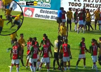 VIDEO/ Përleshje masive me grushta e shkelma, fusha e futbollit kthehet në ring