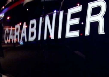 “Ky Miri nuk ruhet fare, del me femra, me gjëra!/ Të tjera përgjime të trafikantëve nga mega-operacioni: Unë rri si qeni…!