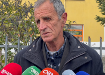 DETAJET/ U godit me sëpatë nga shoku, sherri nisi për lojën me letra