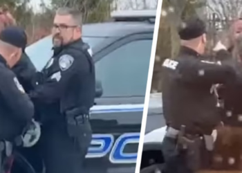VIDEO/ Pamje të rënda: Grushta fytyrës, policia bën për spital gruan