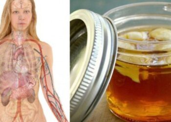 E keni tepruar me pijen dhe ngrënien për festa, ja ilaçi natyral që ua zbraz trupin nga toksinat dhe yndyrnat