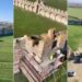 Vijon puna për restaurimin e Kalasë së Bashtovës, kryeministri Rama publikon pamjet