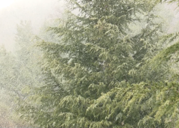 Shiu zëvendësohet nga dëbora në fundjavë! Sinoptikania: Temperaturat ulen me 5 gradë celsius