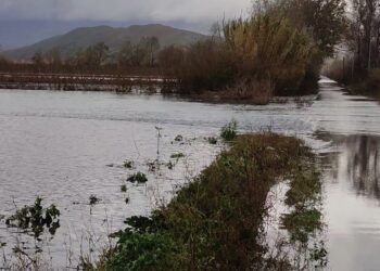 Reshje të dendura shiu dhe bore në veri, Buna del nga shtrati, përmbyten 275 HA në Shkodër