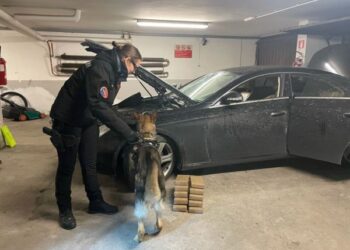 Shqiptari kapet me 350 mijë euro drogë, kapet ‘mat’ nga qeni i kufirit me 10 kg kokainë në makinë