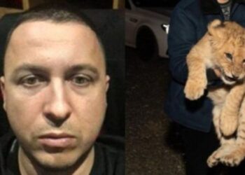 VIDEO/ Luiz Ejlli përmend Ervis Martinaj brenda në shtëpi: Ia kemi marrë luanin nga Afrika