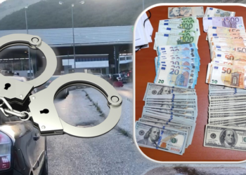 “Nga grabitja e floririt te afera CEZ-DIA”/ Gazetarja: Kush vjedh pasurinë kombëtare, t’i merret pasuria personale!