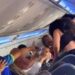 VIDEO/ Panik në bordin e avionit, plas sherri mes dy familjeve, njëra prej femrave mbetet topless