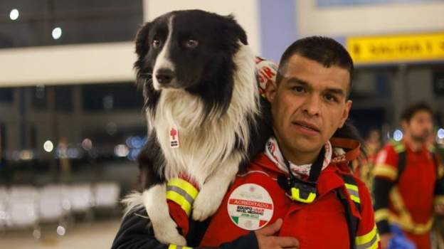 Meksika dërgon një grup prej 16 qensh të kërkim-shpëtimit në Turqi