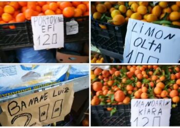 FOTO/ Banane ‘Luiz’, limon ‘Olta’, mandarin ‘Kiara’, portokall ‘Efi’, tregtari gjen mënyrën e veçantë për të shitur fruta-perimet