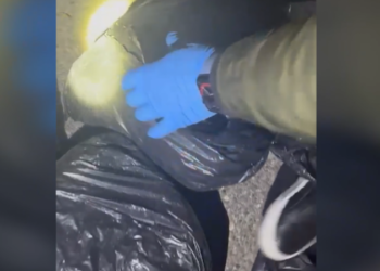 VIDEO/ 8 kg kanabis të fshehur në bagazh, arrestohen në Kamëz dy persona