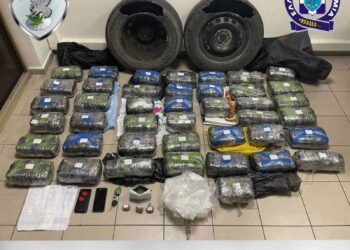Trafik droge Shqipëri-Greqi/ Pranga 49-vjeçarit grek, sekuestrohen mbi 43 kg marijuanë