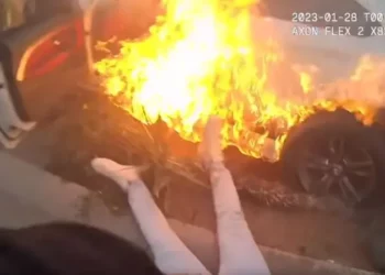 VIDEO/ Pamje tronditëse: Publikohet momenti i frikshëm kur i riu shpëton shoferin nga flakët