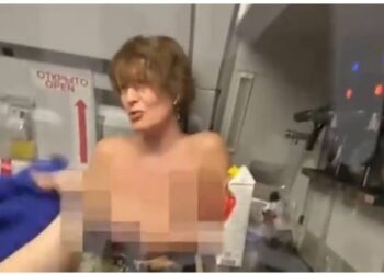 VIDEO/ “Jeni të gjithë në rrezik”! Gruaja gjysmë e zhveshur kërkon të marrë kontrollin e avionit