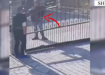 VIDEO/ I shkuan me kallashnikov në dorë te dera e shtëpisë, arrestohen 3 persona në Shkodër