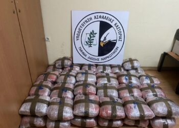 Sekuestrohen 53 kg marijuanë në Kostur të Greqisë, arrestohet 23-vjeçari shqiptar