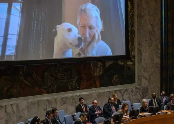 Lufta në Ukrainë/ Ambasadori shqiptar në OKB përplaset me themeluesin e Pink Floyd