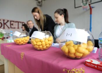 Hidhet shorti i dytë publik te “5 Maji, 125 familje të tjera të prekura nga tërmeti marrin çelësat