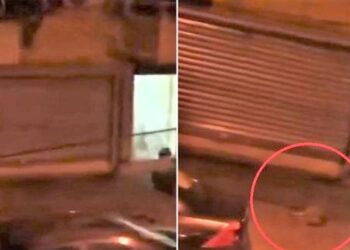 Pamje të rënda/ “Çmendet” gruaja në Tiranë, hedh qenin e saj nga kati i 6-të i pallatit