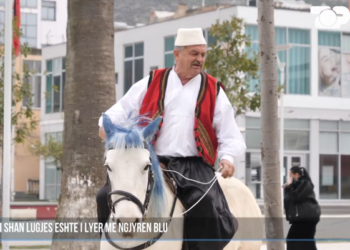 “Dua të futem në Big Brother”/ Qytetari shkoi në protestë me kalë nga Laçi, ja thirrja që ka për Luizin: Hajde në PD…!